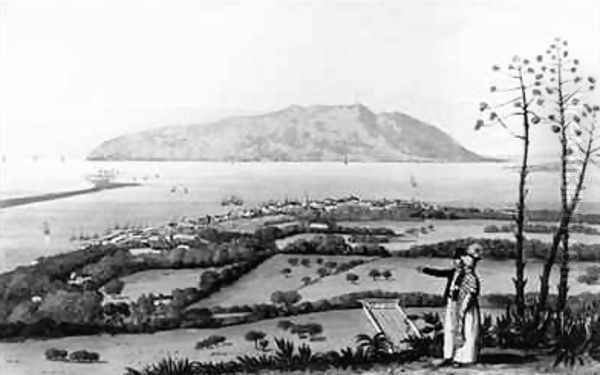 Kingston and Port Royal from A Picturesque Tour of the Island of Jamaica Oil Painting by James Hakewill