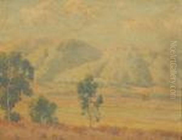 California Foothills Oil Painting by Maurice Braun