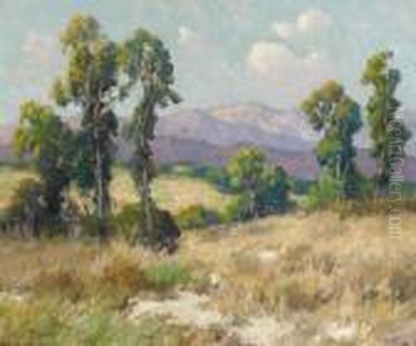 Eucalyptus Oil Painting by Maurice Braun