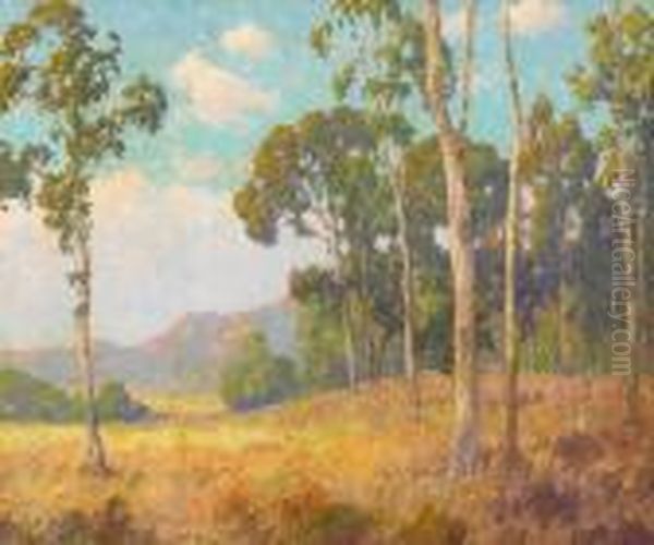 Eucalyptus Grove With Distant Sunlit Hills Oil Painting by Maurice Braun