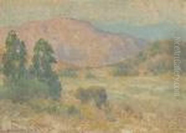 Mountains Inland From San Diego Oil Painting by Maurice Braun