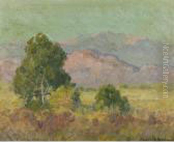 Cajon Hills Oil Painting by Maurice Braun