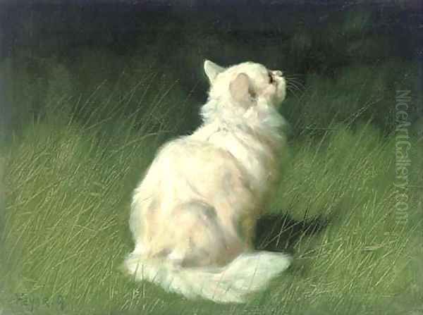 A Persian cat in a garden Oil Painting by Arthur Heyer