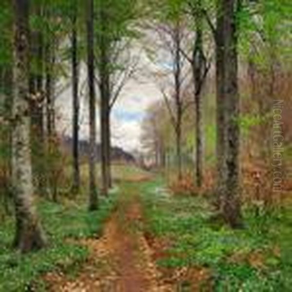 Spring Day In The Woods With Beeches And Anemones Oil Painting by Hans Anderson Brendekilde