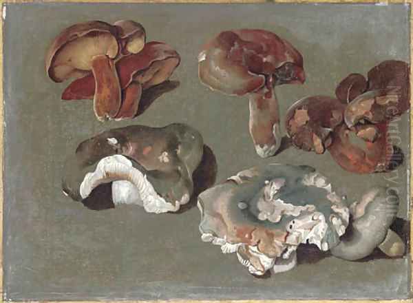 Studies of fungi the lower three are Russula cyanoxantha, 'The Charcoal Burner' Oil Painting by Ferdinand Phillip de Hamilton