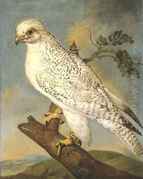 A falcon on a branch Oil Painting by Ferdinand Phillip de Hamilton