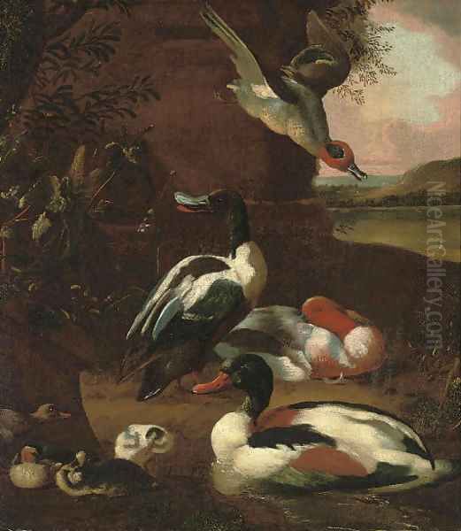 Wooded river landscape with muscovy ducks in the foreground Oil Painting by Melchior de Hondecoeter