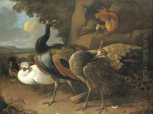 A peacock, a peahen, poultry and other birds in a rocky landscape Oil Painting by Melchior de Hondecoeter