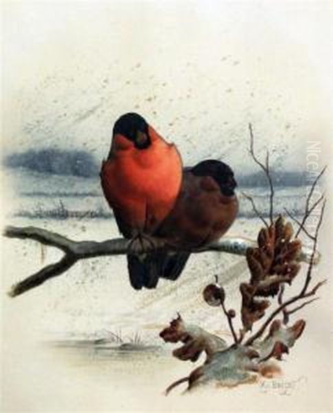 Bullfinches In Winter Oil Painting by Henry Bright