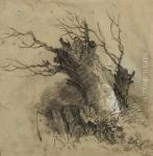 An Old Tree Trunk Oil Painting by Henry Bright