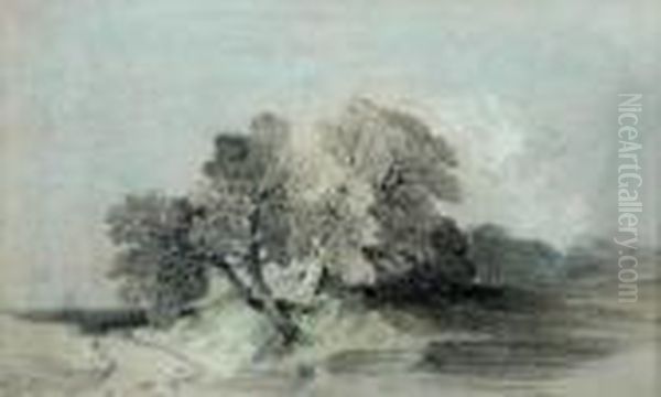 Studyof An Oak Tree Oil Painting by Henry Bright