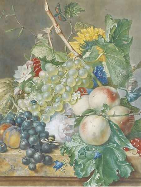 Still life of grapes, peaches, plums and other fruit with peonies, chrysanthemums and convolvulus, on a marble ledge Oil Painting by Jan Van Huysum