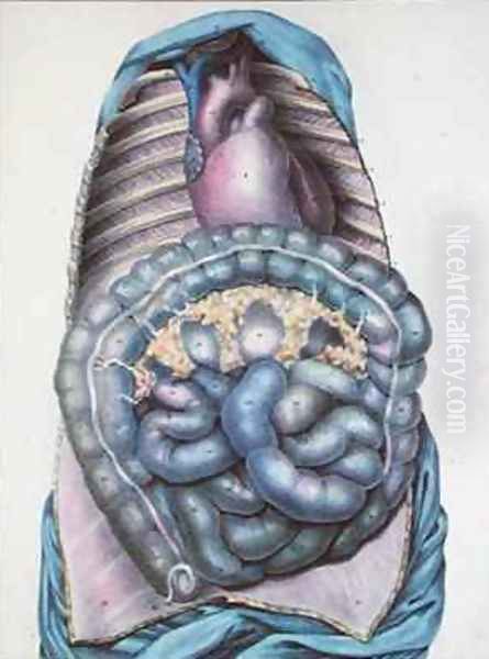 Anatomy of the large intestine from Manuel dAnatomie descriptive du Corps Humain Oil Painting by Haincelin