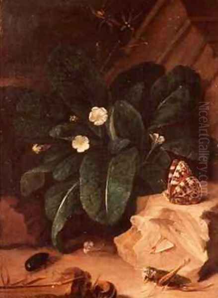 Still Life with Primroses and Insects by Carl Wilhelm de Hamilton