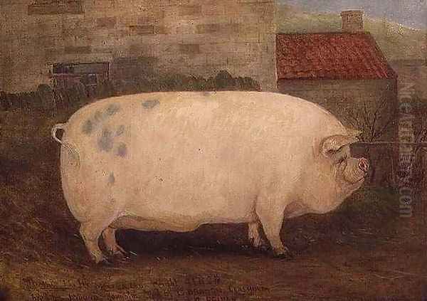 Jumbo 16 months old 41 stone bred by J Young Newholm Yorkshire Oil Painting by William Henderson