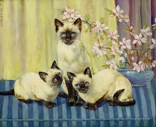 Three Siamese Cats Oil Painting by Winifred Humphery