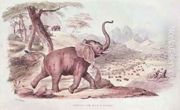 Hunting the Wild Elephant Oil Painting by William Cornwallis Harris