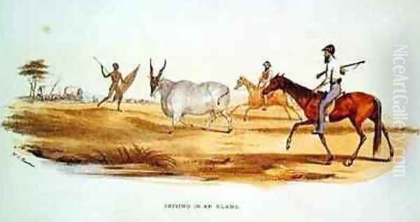 Driving in an Eland Oil Painting by William Cornwallis Harris