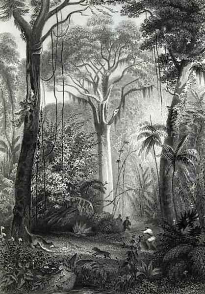 Scene in a Brazilian Forest Oil Painting by Henry George Hine