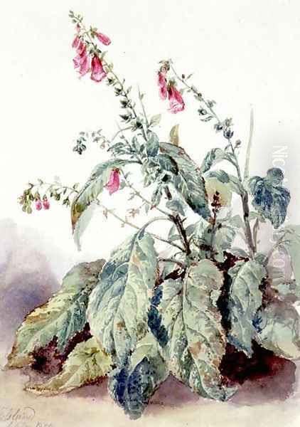 Foxgloves Oil Painting by John Adam P. Houston