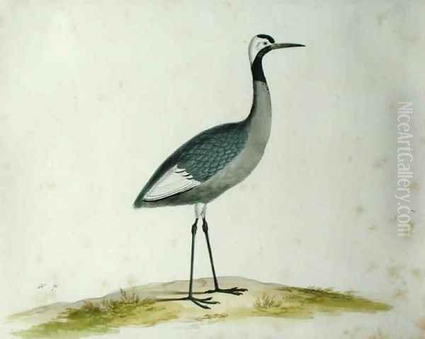 A Crane Oil Painting by Pieter the Younger Holsteyn