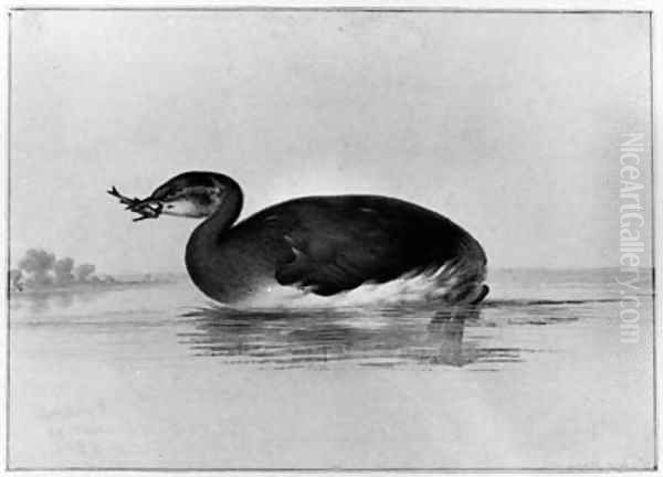 A Moorhen with a Fish in its Beak Oil Painting by Pieter the Younger Holsteyn