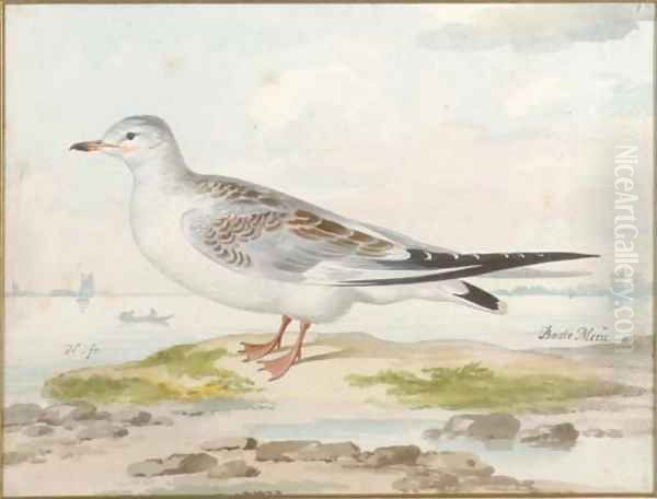 A seagull by Pieter the Younger Holsteyn