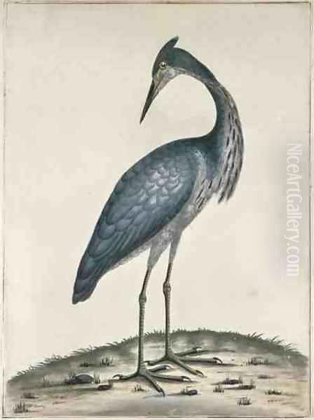 A Heron Oil Painting by William Hayes