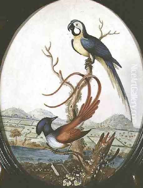 Lyrebird and Jay Oil Painting by William Hayes