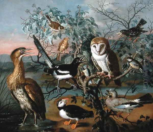 A Concert of Birds a Puffin Jay Great Tit Bittern Starling Magpie Yellowhammer Red Bunting and Barn Owl Oil Painting by Trajan Hughes