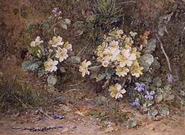 Primroses and Violets on a mossy bank Oil Painting by John Jessop Hardwick