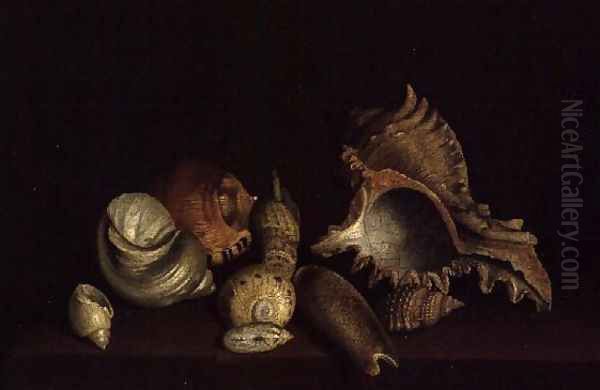 Still Life of Shells on a Ledge Oil Painting by Louis Hubner