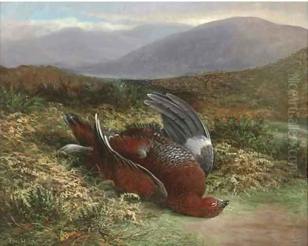 Dead grouse in a landscape Oil Painting by Tom Hold