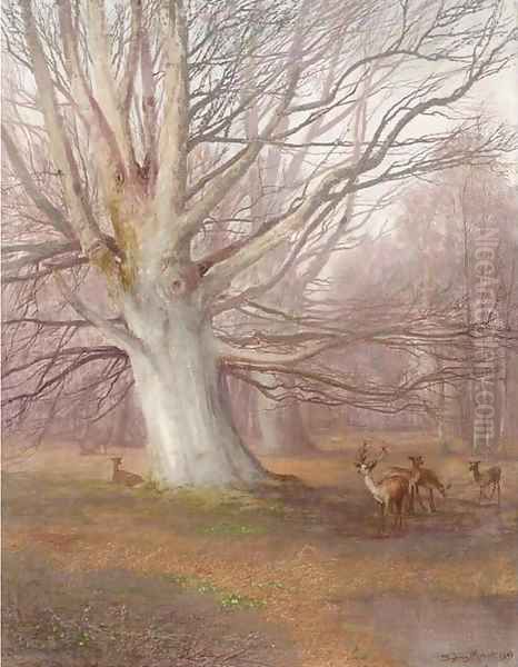 Deer in a beech wood Oil Painting by Sydney Herbert