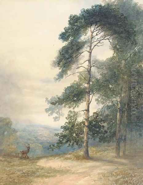 A stag and his herd scenting a disturbance Oil Painting by Sydney Herbert