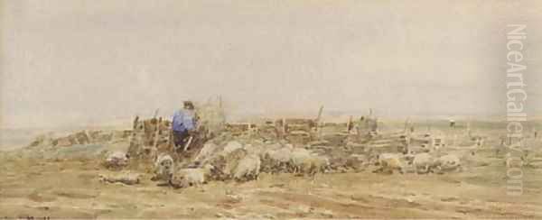 A Norfolk sheep fold Oil Painting by Claude Hayes