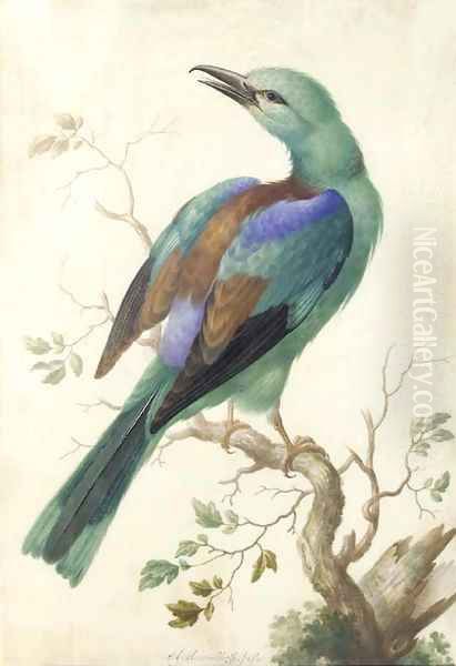 Roller on a branch Oil Painting by Herman Henstenburgh