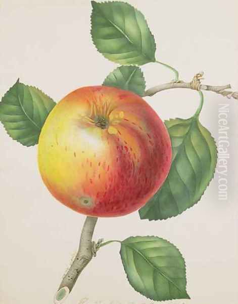 An Apple Oil Painting by Elizabeth Jane Hill