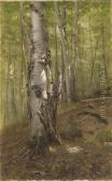 Silver Birches Oil Painting by John George Brown