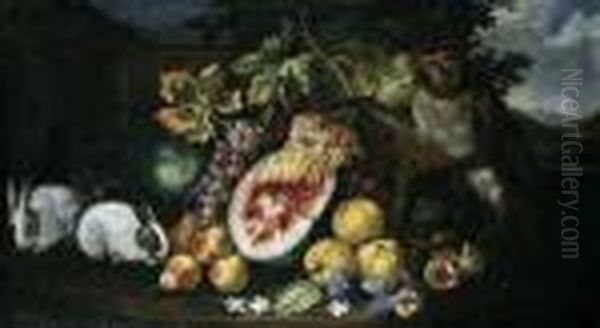 Brueghel, Abraham (1631 
Antwerpen - Um 1690 Antwerpen), Umkreis Fruchtestilleben Mit Hasen Und 
Einer Meerkatze. Ol Auf Leinwand. H 69; B 124 Cm. Oil Painting by Abraham Brueghel