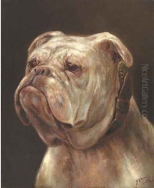 The head of a bulldog Oil Painting by Samuel Howell