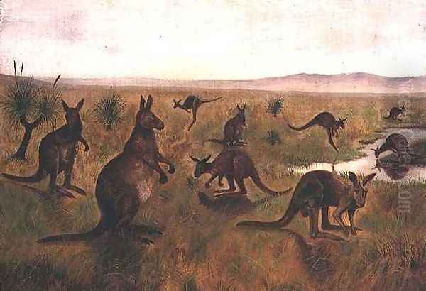 Kangaroos in Australian landscape Oil Painting by William Webster Hoare