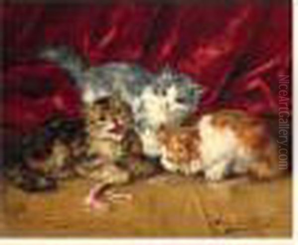 Trois Chatons Jouant Oil Painting by Alphonse de Neuville