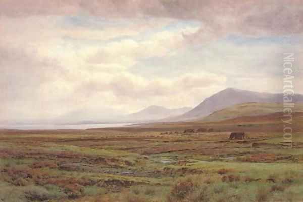 On the moors, Achill Island, Co. Mayo, Ireland Oil Painting by Henry Albert Hartland