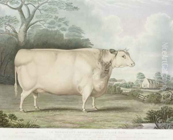 The Habertoft Short Horned Prize Cow Oil Painting by Hubbard, B.