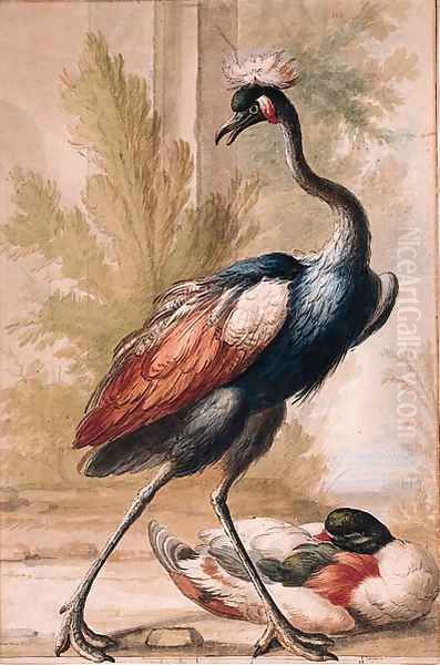 An Emu and a Duck Oil Painting by Gijsbertus Haasbroek