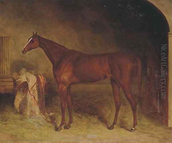 A chestnut racehorse in a stable, Newmarket Oil Painting by Harry Hall