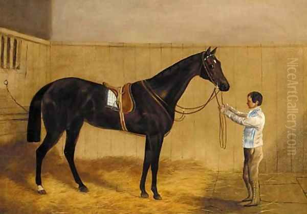 A saddled liver chestnut racehorse held by a groom in a stable Oil Painting by Harry Hall