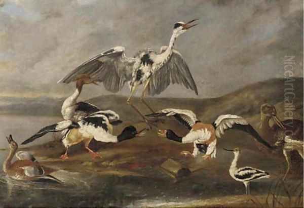 Ducks, a heron and other birds on a bank Oil Painting by Ferdinand Phillip de Hamilton