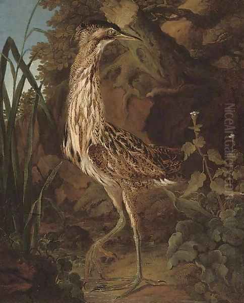 A bittern on the bank of a river Oil Painting by Ferdinand Phillip de Hamilton